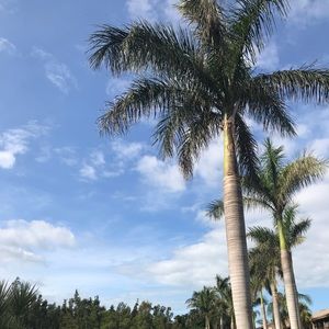 Meet your Posher, Adriana